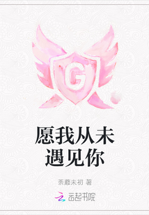 从未想过能够遇见你