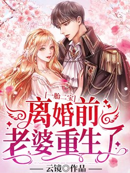 一胎二宝:离婚前,老婆重生了免费阅读