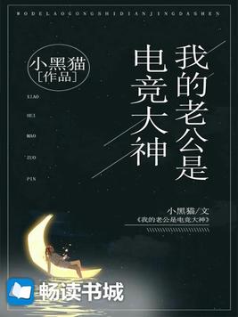 我的老公是电竞大神小说
