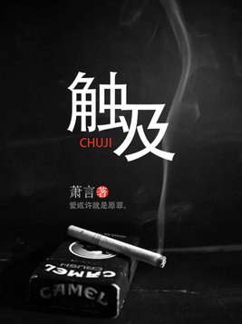 触及小说