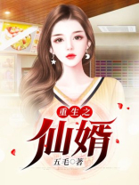 重生之仙婿张凡