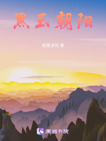 朝阳树化玉黑冰料原石