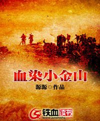 血染小金山小说