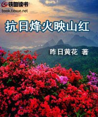 抗日烽火映山红 小说