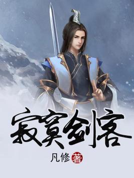 寂寞剑客 小说