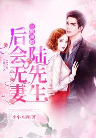 一纸薄婚:陆先生,后会无妻 小小木西