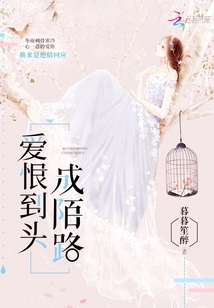 爱恨到头成陌路小说