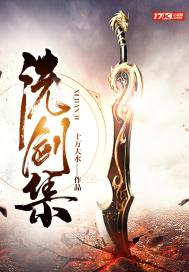 洗剑集免费阅读
