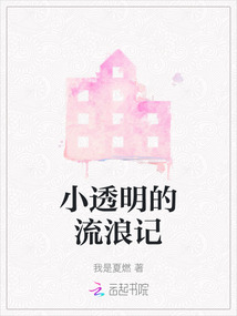小凯流浪记