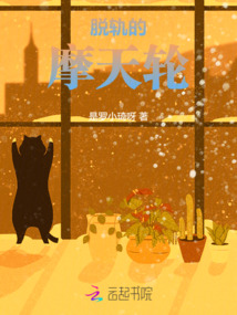 脱轨的摩天轮