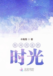 藏在指间的时光 小说