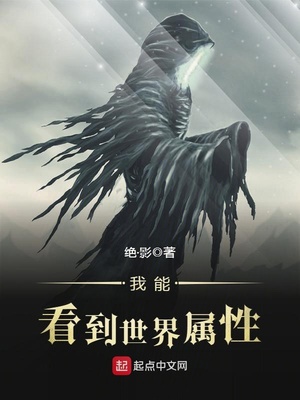 我能看到世界属性精校