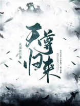 天尊归来滇红普洱
