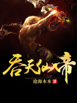 吞天仙帝 小说