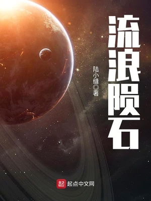 流浪陨石下载八零电子书