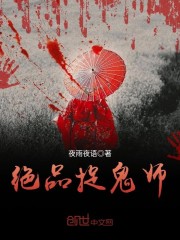 小说御灵师