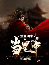 大明之纵横天下