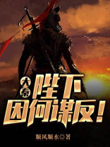 陛下因何谋反下载