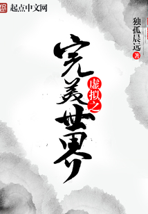 虚拟之完美世界