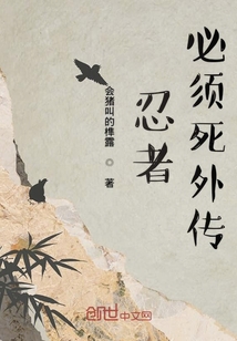 忍者必须死外传