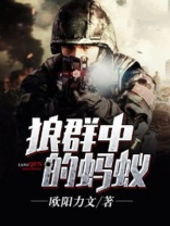 狼群中的蚂蚁叫什么