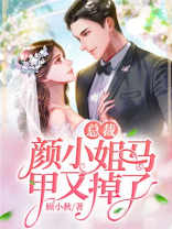 总裁颜小姐马甲又掉了里面的齐洛是不是女的