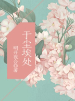于尘埃处百度云txt