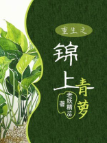 重生之锦绣青萝全文免费阅读