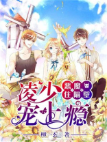 恶魔住隔壁:凌少,宠上瘾!