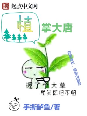 植掌大唐好看吗