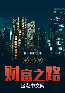 美利坚财富之路 小说
