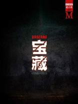 宝藏（谜小说系列）