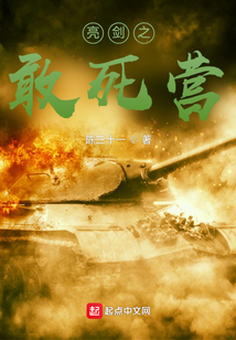 亮剑之敢死营最新