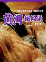 黄河秘闻录讲的什么故事