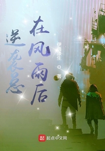 风雨逆袭小说