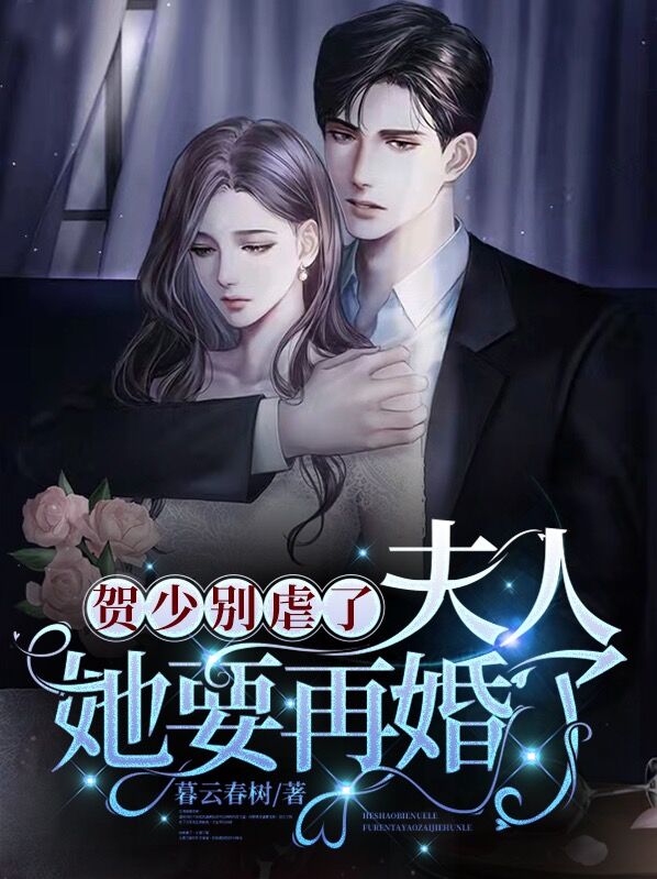 贺少爷,别乱来