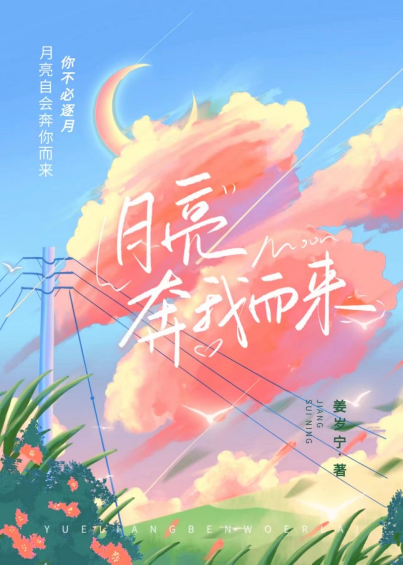 月亮奔我而来小说