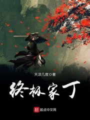 终极家丁电视剧全集