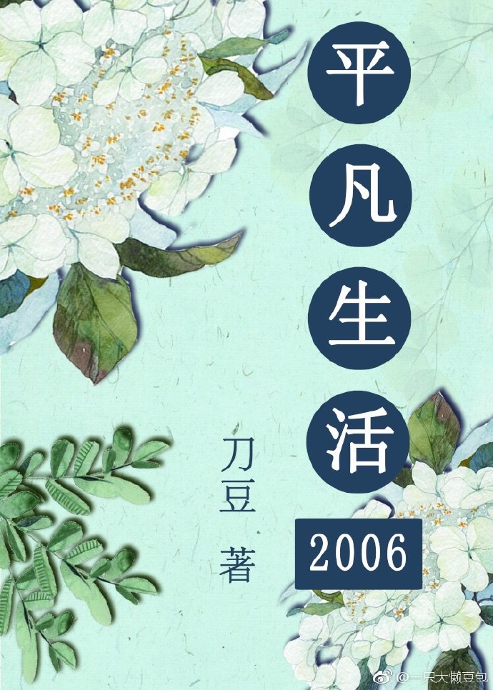 平凡生活2006