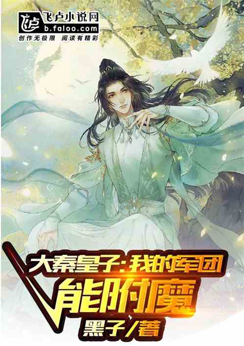 大秦皇子:我的军团能附魔第八区