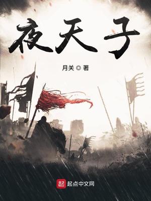 夜天子小说全本免费阅读