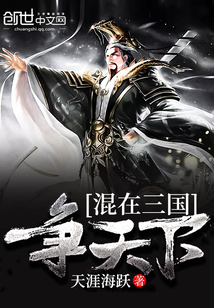 混在三国争天下刘宇小说