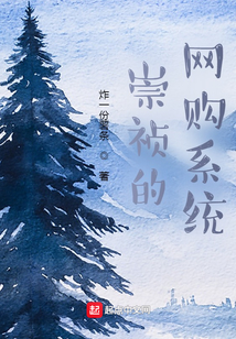 崇祯的网购系统全文阅读