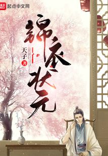 锦衣状元小说免费全文阅读