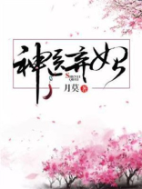 神医弃妃凤轻尘完整版