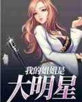 我的姐姐是大明星
