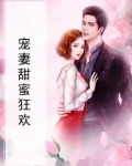 宠妻甜蜜狂欢