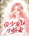 帝少宠坏小娇妻