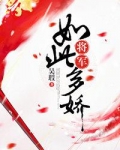 将军如此多娇
