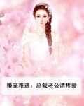 婚宠难逃：总裁老公请疼爱